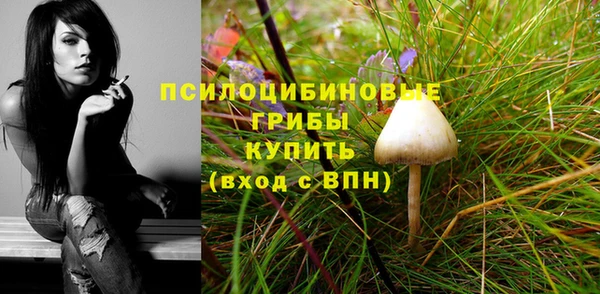 сатива Абдулино
