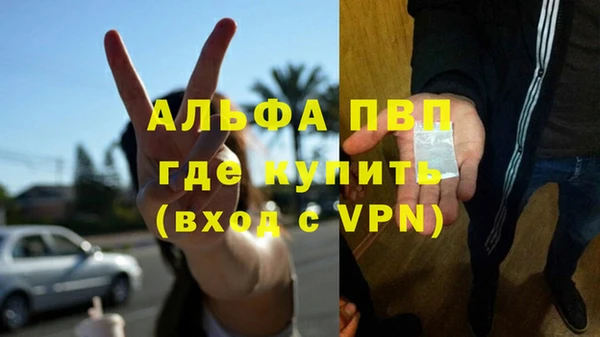 дмт Абаза