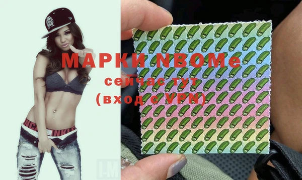 дмт Абаза