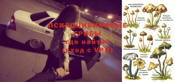 дмт Абаза