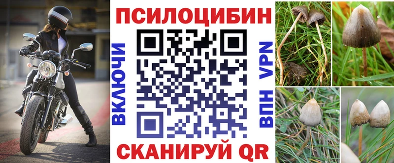 Псилоцибиновые грибы прущие грибы  Горбатов 