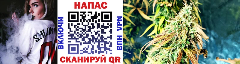 Шишки марихуана марихуана  Горбатов 